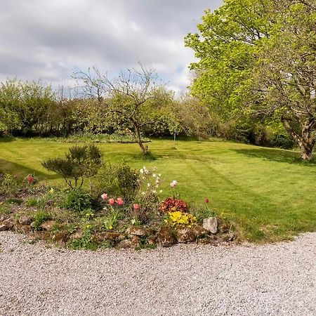 Llys Onnen - North Wales Holiday Cottage Mold Eksteriør billede