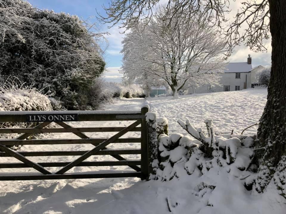 Llys Onnen - North Wales Holiday Cottage Mold Eksteriør billede