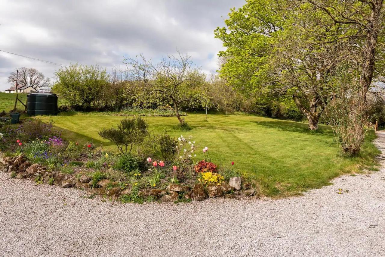 Llys Onnen - North Wales Holiday Cottage Mold Eksteriør billede