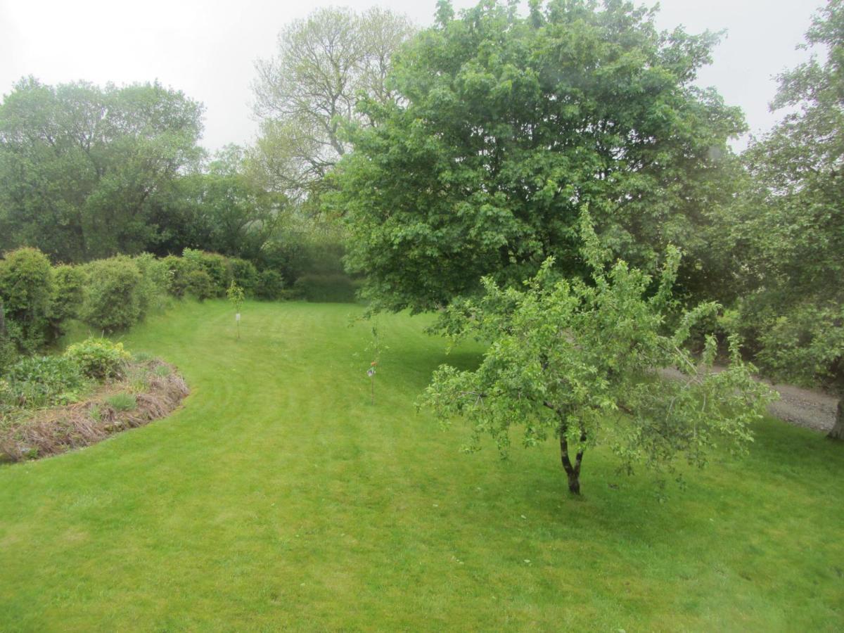 Llys Onnen - North Wales Holiday Cottage Mold Eksteriør billede