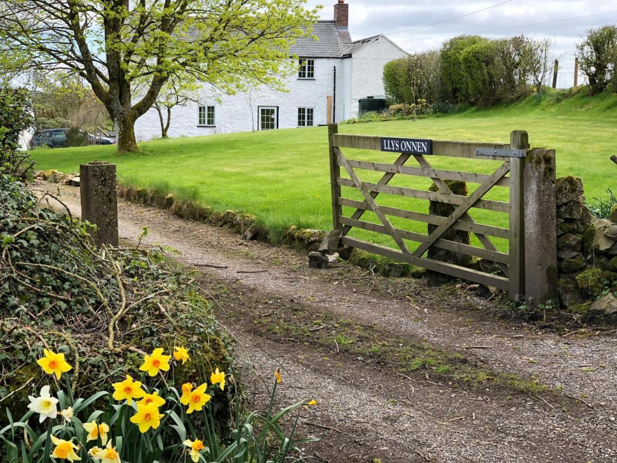Llys Onnen - North Wales Holiday Cottage Mold Eksteriør billede