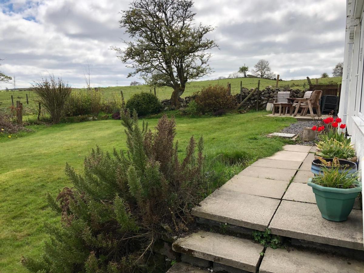 Llys Onnen - North Wales Holiday Cottage Mold Eksteriør billede